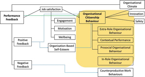 Figure 1. Model of main constructs and mediated terms affecting feedback and organizational citizenship behaviour