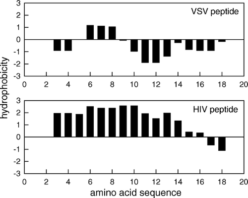 Figure 8.  Kyte-Doolittle plots of fusion peptide hydropathy. Hydrophobic profile of VSV peptide[145–164] and HIV-1 fusion peptide (sequence VGIGALFLGFLGAAGSTHGA). The hydropathy of these peptides was plotted from the amino terminus to the carboxy terminus by averaging hydropathy values over a window of 5 residues. More positive values are assigned to more hydrophobic residues.