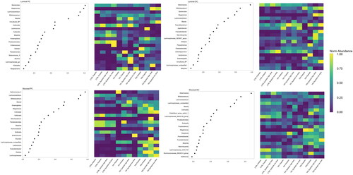 Figure 6. Overall treatment linear Discriminant effect size (LEfSe) analysis and average Operational Taxonomic unit abundance by treatment in the luminal proximal Colon (PC), luminal distal Colon (DC), mucosal PC, and mucosal DC.LEfSe analysis was conducted on the Total-Sum Scaled taxonomic abundances at the genus level following supplementation with prebiotic, probiotic, synbiotic high dose, and synbiotic low dose. The heatmap shows the intra-taxon normalized abundances of the taxa with the highest LDA scores at each timepoint, including the control period (CTRL; n = 4), the first week of the treatment period (TR1; n = 4), and the final week of the treatment period (TR3; n = 4).CTRL, control period; DC, distal colon; LEfSe, Linear Discriminant Effect Size; PC, proximal colon; TR1, treatment week 1; TR3, treatment week 3.