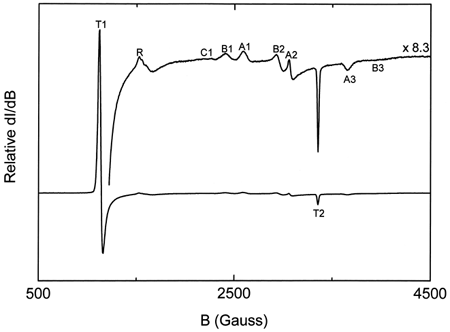 Figure 1. Typical EPR spectra of oxidized hemoglobin. The lower curve is magnified 8.3 times (upper curve) to show all the peaks in the region between 500 and 4500 Gauss.
