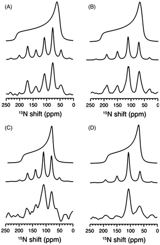 Figure 4. Measurement of parallel and perpendicular edges of motionally averaged powder patterns from MAS spectra of unoriented samples. MAS solid-state 15N NMR spectra of 15N-leucine-11 labelled transmembrane domain of HIV Vpu channel in unoriented DMPC lipid bilayers. In each panel (A–D) the three spectra represent a powder pattern calculated from experimental sideband intensities (top), sideband intensities ‘back calculated’ from the powder pattern (middle) and the experimental NMR spectrum (bottom). Experimental spectra were obtained at high temperature (30 °C, A and B) and at low temperature (5 °C, C and D) and using MAS frequencies of 2.2 kHz (A and C) and 3.0 kHz (B and D). This Figure was reproduced with permission from Park et al. (Citation2010a), which was originally published in J Phys Chem B [Park SH, Das BB, De Angelis AA, Scrima M, Opella SJ Citation2010a. Mechanically, magnetically, and “rotationally aligned” membrane proteins in phospholipid bilayers give equivalent angular constraints for NMR structure determination. J Phys Chem B 114:13995–14003], copyright by American Chemical Society 2010.