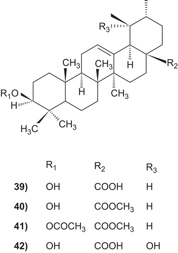 Scheme 7.  Derevatives of ursolic acid for trypanocidal activity.