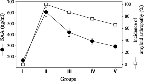 Figure 5. Serum amyloid A levels (•) and the incidence of amyloid arthropathy occurrence (□) in joints in five groups. I, negative control group; II, vitamin A group; III, positive control group; IV, pentoxyflline group; V, methylprednisolone group.