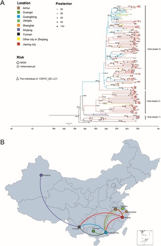 Figure 4. Maximum clade credibility (MCC) tree and map of geographic location transition based on the CRF07_BC sequences. Bayesian analyses were performed using BEAST v1.10.4 (see Methods for details). In the MCC tree (A), sequences from 180 CRF07_BC sequences (122 CRF07_BC reference sequences and 58 CRF07_BC sequences in Jiaxing city) form three unique phylogenetic clades, labelled Subclusters 1–3; the branch lengths reflect the evolutionary time, and nodes labelled with evolutionary time were supported by a high posterior probability (≥0.90). The corresponding time scale was marked at the bottom of the MCC tree; different colours of branches indicate that the formed clades contain reference sequences from different provinces/cities in China. In the geographic location transition map (B), points are colour-coded by the geographic location of origin. Lines are colour-coded by the geographic location of the destination.