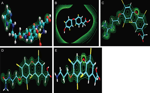 Figure 5.  Two-dimensional contour plots of charge density distribution for XT199 (A), tetrac (B) and compounds (9) (C), (10) (D) and (11) (E).