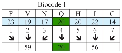 Figure 3 Examples of biocodes.