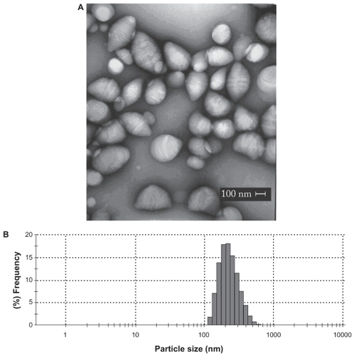 Figure 2 Morphological features and mean diameter of L-tyrosine-loaded PCL NPs. A) Transmission electron micrograph of PCL NPs loaded with L-tyrosine. Scale bar: 100 nm. B) Diameter distribution of PCL NPs loaded with L-tyrosine determined by photon correlation spectroscopy, showing that most NPs presented diameter in the nanometer scale. The experiments were done three times independently (n = 3).