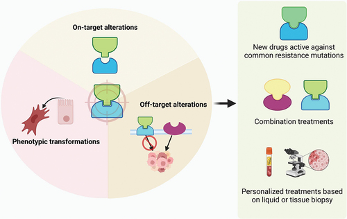 Figure 3. Mechanisms of resistance to target therapy and strategies to overcome them. there are three main mechanisms underlying resistance to targeted therapies: phenotypic transformations, on-target alterations and off-target alterations. Currently, attempts are being made to overcome this barrier by developing new drugs against common resistance mutations, combination of different treatments and personalized treatments based on liquid or tissue biopsy. Created with Biorender.com.
