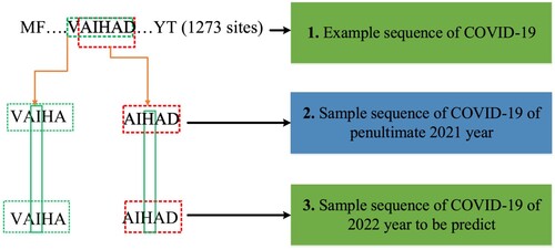 Figure 8. Creation phase of label samples for training and testing datasets.