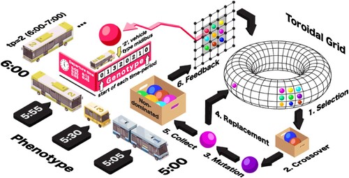 Figure 4. Reproduction steps in the cellular genetic algorithm for multi-objective optimization (MOCell) using spheres representing different solutions. The array attached to each sphere is the genotype of an individual, and its phenotype represents the departure times and vehicle type defined in the timetable computed by the proposed approach to solve the multiple vehicle-types timetabling problem (MVTTP).