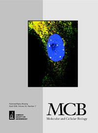 Cover image for Molecular and Cellular Biology, Volume 26, Issue 7, 2006