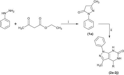 Scheme 1.  General method for the synthesis of pyrimidine derivatives (2a–2j). Reagent and conditions: (i) C2H5OH, 78°C reflux 5–6 h, (ii) Urea, HCl (2–3 drops), different aromatic aldehydes, where R = aryl group of different aldehydes.