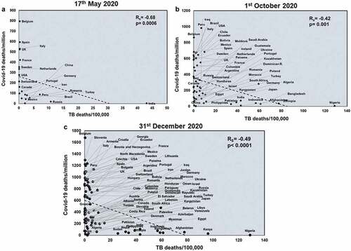 Figure 3. TB deaths correlates with COVID-19 deaths/million negatively at all three time points studied: Correlation of deaths/100,000 due to TB was performed for countries at three different time points: 17th May 2020 (a), 1st October 2020 (b) and 31st December 2020 (c) with respect to COVID-19 deaths/million. The graphs have been correlated and the Spearman’s correlation coefficient value (Rs) and the respective p values have been mentioned. Correlation has been considered statistically significant if p < .1