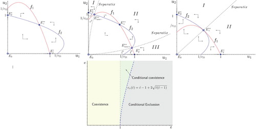 Figure 8. Competition outcomes of system (Equation4(4) u1′=r1u1−u12−c12u1u21+c1u1u2′=r2u2−u22−c21u2u11+c2u2(4) ) in case of symmetric competition: c12=c21=cˆ and c1=c2=c. Top left panel corresponds to global coexistence (0<cˆ<1 and any c>0). Central top panel corresponds to conditional coexistence (cˆ>1 and c>cˆ−1+2cˆ(cˆ−1)). Top right panel corresponds conditional exclusion (cˆ>1 and 0<c<cˆ−1+2cˆ(cˆ−1)).