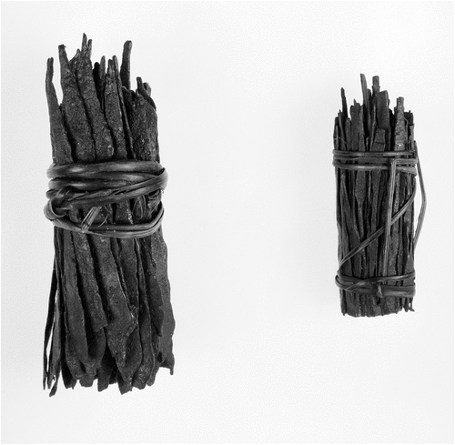 Figure 2. Bundles of iron rods/currency blades, Fang, Bene. Museum Purchase, Huntington Frothingham Wolcott Fund, 1920. Courtesy of the Peabody Museum of Archaeology and Ethnology, Harvard University, 20-29-50/B2167.