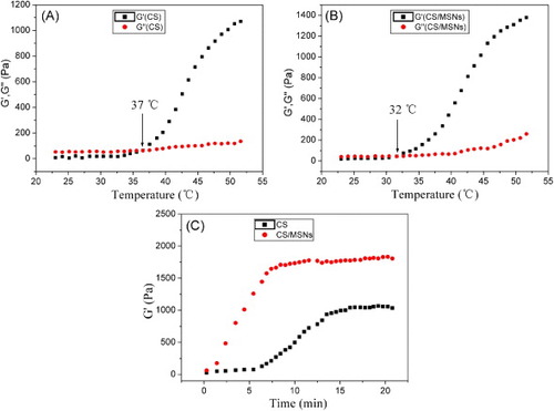 Figure 3. (A) and (B) Temperature dependences of the storage modulus G′ and loss modulus G″ showing the gelation transitions; (C) dependence of the storage modulus G′ value of the hydrogels on time at 37 °C to determine the gelation process.