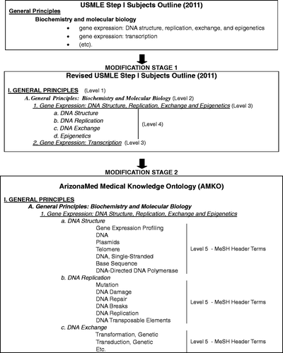 Figure 1. Illustration of how the USMLE Step I subjects outline was developed into a content ontology. Stage 1 shows deconstruction of the outline's phrases into four increasingly-detailed subject levels. Stage 2 illustrates the population of Level 5 with MeSH terms that are computer-readable and representative of medical knowledge content.