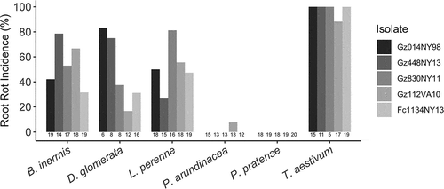 Fig. 3 Incidence of root rot caused by five isolates of Fusarium on the seedlings of six grass species. Host species had a significant effect on disease incidence (F5,419 = 91.04, P ≤ 0.001), and there was a significant interaction between host and isolate (F20,419 = 3.01, P ≤ 0.001). Sample sizes are included below each bar.