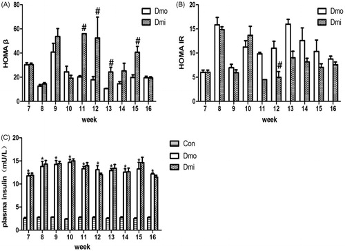 Figure 3. Fasting plasma insulin levels, HOMA β and HOMA IR of db/db mice. (A) HOMA β of db/db mice. (B) HOMA IR of db/db mice. (C) fasting insulin levels of mice. Con, C57 mice; Dmo, vehicle-treated db/db mice; Dmi, SB203580-treated db/db mice (#p < 0.05, Dmi vs. Dmo; *p < 0.05, Dmo or Dmi vs. Con).