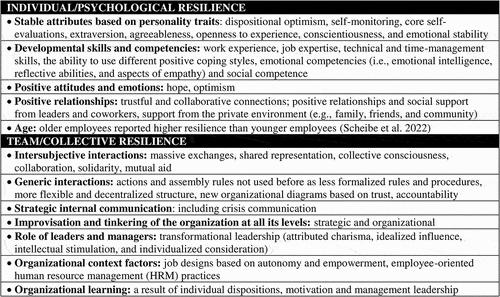 Figure 1. Key factors affecting the resilience of organizations classified according to whether they are part of individual/psychological or team/collective resilience.