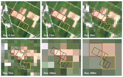 Figure 3. Example of segmentation results as spatial resolution is degraded (red polygon: early transplanted rice, yellow polygon: conventionally transplanted rice, black polygon: paddy units registered in cadaster map).