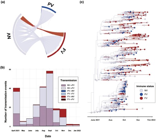 Figure 4. Phylodynamic analysis of AY.69 lineage of SARS-CoV-2 between immune groups in South Korea. (a) Chord diagram of introduction events between immune groups. Chords distant from the edge represent influxes. Chord width indicates the number of flows. (b) Monthly numbers of transmissions among immune groups. (c) Maximum clade credibility summary tree of Bayesian inference.