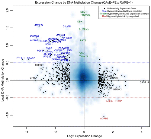 Figure 1. Expression by methylation plot. The blue-shaded background density cloud shows the distribution of all the genes covered by both arrays. Differentially expressed genes (553 genes, represented as black dots) were used to calculate a correlation between methylation change and expression change. Spearman rank correlation coefficient = -0.37. Genes labeled with blue text had a significant decrease in expression and a log2 increase in methylation greater than 0.5. Not all the genes that meet these criteria are labeled due to space limitations. Selected genes labeled with green text had minimal expression change and a log2 increase in methylation greater than 0.5. Genes labeled with red text had a significant increase in expression and a log2 decrease in methylation greater than 0.5. Selected genes labeled with black text were also analyzed by QRT-PCR or MassARRAYTM (Figs. S2 and S3). CASP14 is labeled due to its high expression in CAsE-PE relative to RWPE-1.