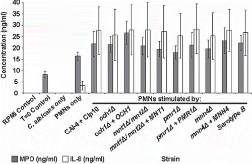 Fig 6. Myeloperoxidase and IL-8 quantification in C. albicans-PMN supernatants. The plot shows MPO and IL-8 production in cell culture supernatant following the co-incubation of PMNs (106 cells) with C. albicans strains (3 × 106 cells) for 30 min at 37°C. MPO and IL-8 concentrations were determined by ELISA assay kits. Controls were cell culture supernatant (RPMI only), pre-incubation supernatant (T = 0 control), and cell culture medium from samples lacking either PMNs (C. albicans only) or C. albicans cells (PMNs only). Plotted values are the mean ± standard error of six experiments with independent donors, in which each combination was tested in triplicate.