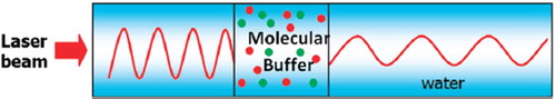 Figure 2. Schematic of molecular buffer work in core waveguide.