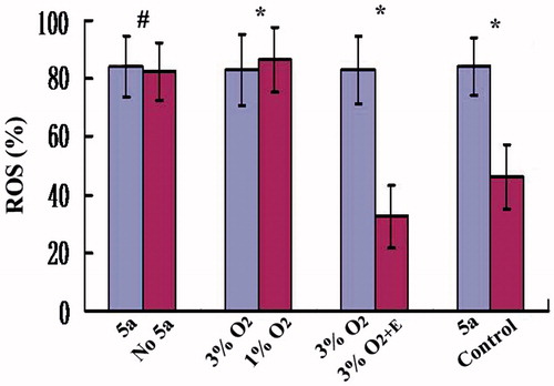 Figure 1. The expression of ROS in different treatments. 5a = treated with 5a-reductase inhibitors, No 5a = not treated with 5a-reductase inhibitors, 3% O2 + E = 3% O2 + Edaravone (80μM).*p < 0.05, #p > 0.05, by the paired-samples T test.