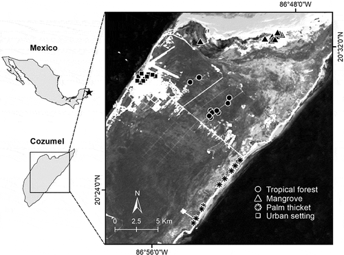 Figure 1. Study area and survey sites on Cozumel Island indicating point-count distribution in each ecosystem type.
