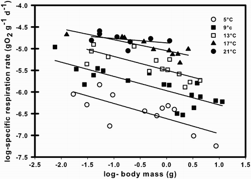 Figure 1. Relationships between the log-specific respiration rate and log-body mass (W, g) of Galaxias maculatus at different temperatures (T, °C). Plotted lines represent best-fit regressions for each temperature.