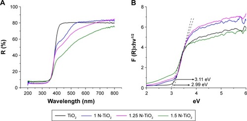Figure 1 UV–Visible light absorption spectra of TiO2 with increasing nitrogen content.Note: (A) UV–Vis reflectance spectra and (B) Tauc plots of pure TiO2 and N-TiO2.Abbreviations: UV, ultraviolet; Vis, visible.
