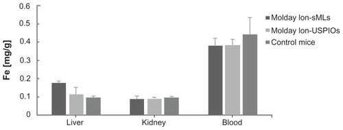 Figure 7 Quantification of iron in liver, kidneys, and blood by ICP-OES of control mice (n = 3) and injected mice 8 days after administration of sMLs and Molday-Ion USPIOs (n = 3 for each).Note: The values are means ± SD.Abbreviations: sMLs, stealth magnetic liposomes; USPIOs, ultrasmall superparamagnetic iron oxides, SD, standard deviation.