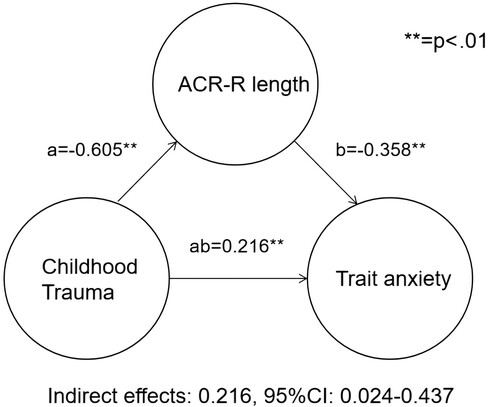 Figure 4. Displayed is the single-level mediation analysis. The following factors were used: X = CTQ total score, M = fibre length of the right anterior corona radiata (ACR-R), Y = STAI total score. Three different paths depict the relation between the different factors. Path a: relationship between X–M, path b: relationship M–Y, path ab: mediation of relationship X–Y by M. The lines are labelled with path coefficients, and standard errors are shown in parentheses. **p < .01.