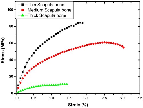 Figure 6. Stress–strain curve for all samples.