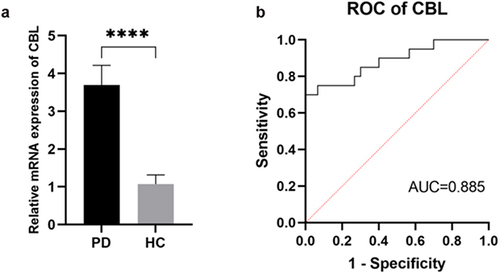 Figure 8 The expression and diagnostic value of CBL in clinical samples. (a) The relative mRNA expression levels of CBL expression in the PBMC of PD and HC; (b) The ROC curves of CBL in validation set. Data are shown as mean ±SEM, ****p<0.0001.