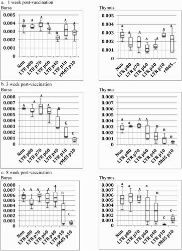 Figure 2. Box-plot of organ weight/body weight ratios of vaccinated Mab− chickens at one week, three weeks, and eight weeks post-vaccination. Chickens were vaccinated at day of hatch with phosphate-buffered saline (Non), rMd5 REV-LTR BAC at different passage levels or rMd5 B40 BAC at passage level 10. Five birds were analysed per group at one week and three weeks. All surviving birds were analysed at eight weeks. The error bars represent the range of values from the largest to the smallest. (a) Relative bursa/body weight and thymus/body weight ratios at one week post-vaccination. (b) Relative bursa/body weight and thymus/body weight ratios at three weeks post-vaccination. (c) Relative bursa/body weight and thymus/body weight ratios at eight weeks post-vaccination.