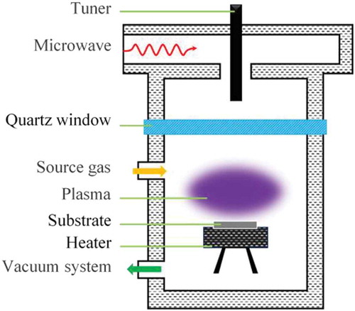 Figure 2. Schematic diagram of microwave plasma chemical vapor deposition chamber for growing diamond. Figure redrawn according to Ref [Citation32]