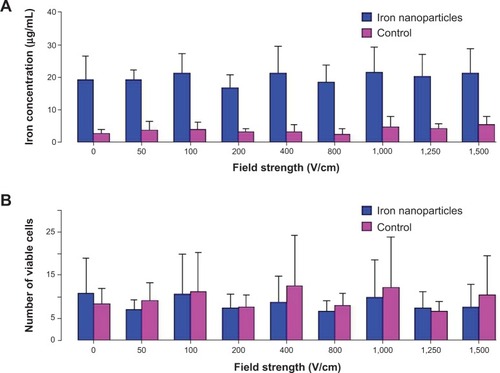 Figure 2 (A) In vitro iron concentration in PANC-1 cells and (B) number of viable cells (per 100,000 cells) as a function of electroporation field strength.