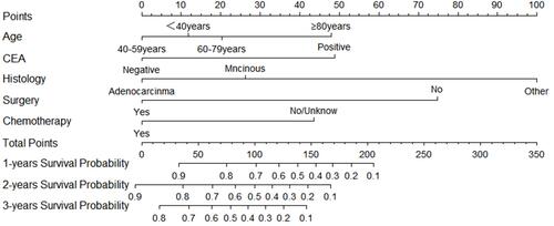 Figure 5 Nomogram for predicting 1-, 2- and 3-year CSS of T1N0 patients with DM.