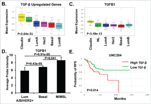 Figure 1. TGF-β Gene Expression Signature Upregulated in MSL/CL Subtype of TNBC. A. Heat maps showing relative gene expression of the TGF-β differentially expressed genes (P < 0.05) in each intrinsic subtype of breast cancer using UNC337 data set.Citation7,47 Colored squares in the heat map are the relative mean transcript abundance (log2, –3 to 3) for each subtype with highest expression in red, average expression in black, and lowest expression in green. B. Box-and-whisker plots are representative of the average expression of the TGF-β upregulated gene signatures across the intrinsic breast cancer subtypes. C. Box-and-whisker plots are representative of the average expression TGFB1 in the different breast cancer subtypes (P = 5.48e-13). D. Average probe intensity for TGFB1 in each of the defined intrinsic subtypes of breast cancer as was extrapolated from.Citation49 Bar graph is representative of luminal A/B and HER2 (LumA/B/HER2+), Basal, and Mesenchymal/Mesenchymal Stem-like/Claudin-low (M/MSL) cell lines. Standard deviations between examined cell lines are identified. E. Kaplan-Meier plot for relapse free survival (RFS) and log-rank test P values. Tumors were independently ranked from low to high signature score for TGF-β expression utilizing the UNC254 tumors with survival data. The Kaplan-Meier plot and log rank test P value compares the tumors with the lowest TGF-β signature (TGF-β downregulated genes) expression relative to TGF-β-high (TGF-β upregulated genes) expression in all intrinsic breast cancer subtypes, P = 0.014. Statistics were performed using a two-tailed t-test using excel. P in box-whisker plots were calculated by comparing gene expression means across all subtypes.