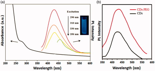 Figure 3. UV–vis absorption spectra and excitation-dependent photoluminescence (PL) spectra of the PEG passivated carbon dots (CDs-PEG) (a) and the PL spectra of the CDs with and without the adding of PEG (b).