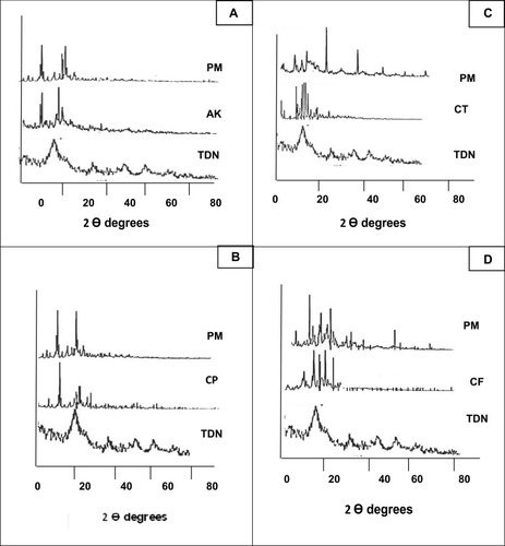 Figure 5 X-ray diffraction pattern of (A) TDN, amikacin and its physical mixture; (B) TDN, ciprofloxacin and its physical mixture; (C) TDN, ceftriaxone and its physical mixture; (D) TDN, cefpime and its physical mixture.Abbreviations: TDN, titanium dioxide nanoparticles; AK, amikacin; CP, ciprofloxacin; CT, ceftriaxone; CF, cefpime; PM, physical mixture.