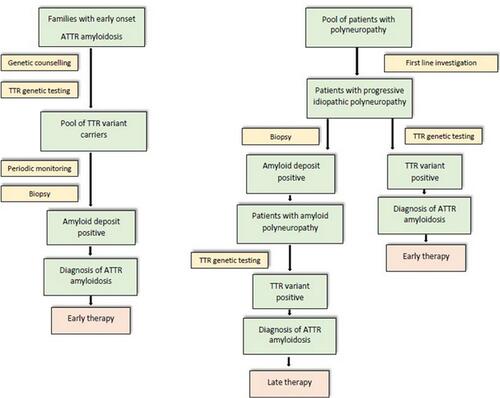 Figure 5 Flow-chart strategy for the diagnosis of FAP in endemic (left) and non-endemic (right) areas.