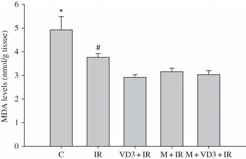 Figure 5.  Renal tissue malondialdehyde (MDA) levels.Note: *C versus VD3, p = 0.002; C versus M and C versus M + VD3, p = 0.004; #IR versus VD3, p = 0.009; IR versus M and IR versus M +VD3, p = 0.015. For abbreviations, see legend to Figure 1.