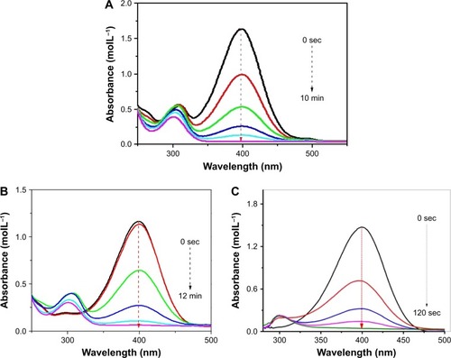 Figure 5 Ultraviolet–visible spectra for the reduction of 4-nitrophenol catalyzed by (A) copper, (B) palladium and (C) palladium@copper bimetallic nanoparticles.Notes: Reaction conditions: H2O (3 mL), Cu (15 μL, 0.1 mg mL−1), 4-nitrophenol (40 μL, 0.1 M) and NaBH4 (150 μL, 0.1 M). (B) Conditions: H2O (3 mL), Pd (15 μL, 0.1 mg mL−1), 4-nitrophenol (40 μL, 0.1 M) and NaBH4 (150 μL, 0.1 M). (C) Conditions: H2O (3 mL), Pd@Cu (15 μL, 0.1 mg mL−1), 4-nitrophenol (40 μL, 0.1 M) and NaBH4 (150 μL, 0.1 M).