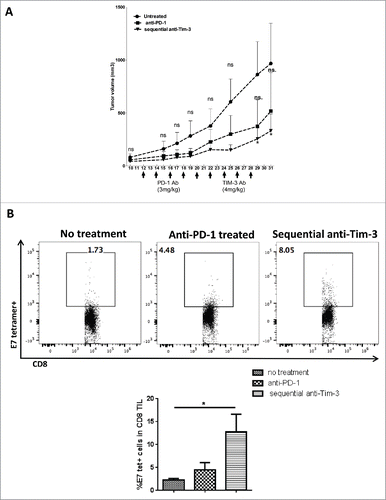 Figure 5. Sequential anti-Tim-3 treatment suppresses tumor growth and show better antitumor immune response. C57BL/6 mouse were injected 1 × 106 MEER cells in the neck, after tumor progression (day 10) anti-mouse PD-1 mAb was given at five doses every 2 d, sequential anti-Tim-3 mAb treatment were given to one group of mice starting from day 22 for four doses every 2 d. Tumor volume were measured every 2 d, Mice TIL were harvested at day 31, and HPV E7-tetramer and PD-1 expression were assessed by flow cytometry. (A) Tumor growth curve up to day 31 was shown, (n = 5) significance was calculated by two-way ANOVA, *p < 0.05. (B) Representative flow plots and summary data showing %E7-tetramer+ cells in CD8+ T cells. (n = 5) Significance was calculated by ordinary one-way ANOVA, *p < 0.05.