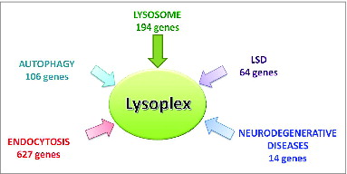 Figure 1. Subsets of genes that are part of the ALP gene list. Schematic diagram showing the composition of the Lysoplex gene list (n = 891 genes). Please note that some of the selected genes belong to more than one category.