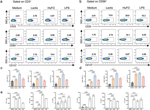 Figure 2. After co-culturing PBMCs with HuFOLactis, both T cells and NK cells can be activated. (a, b) Representative flow plots showing the expression of CD25, CD69, and CD137 on CD3+ T cells and CD56+ NK cells after co-incubation with Lactis or HuFOLactis in vitro for 48 hours. (c) Summary of data from a showing CD25+, CD69+, and CD137+ cells among CD3+ T cells (mean ± s.e.m.; n = 3 cell cultures per group). (d) Summary of data from B showing CD25+, CD69+, and CD137+ cells among CD56+ NK cells (mean ± s.e.m.; n = 3 cell cultures per group). (e) Assessment of Th1/Th2 in coculture supernatants after PBMCs stimulated by Lactis or HuFOLactis for 48 hours in vitro (mean ± s.e.m.; n = 3 cell cultures per group). Data were analyzed by one-way ANOVA coupled with Tukey’s multiple-comparisons test. Three independent experiments were performed using PBMCs from three donors, with three cell cultures per group in each experiment. The displayed result is representative of one of these three independent experiments.